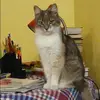 Отзыв от Наталья Самойлова